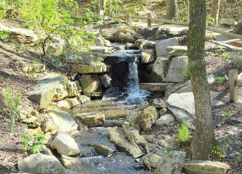 The Bog Garden at Benjamin Park, United States